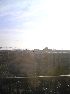 080124_0823~01.jpg
